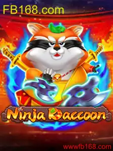 NinjaRaccoon